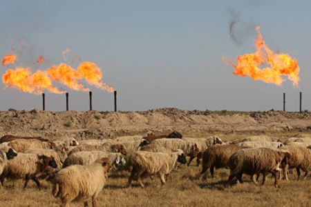 OPEC+或提前全面增产，全球油市面临关键转折