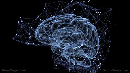 读心术人工智能取得突破：科学家无需脑植入即可解码思维，但隐私担忧日益加剧