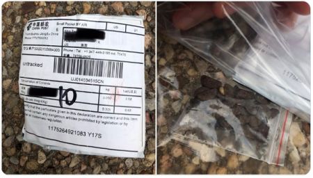 德克萨斯州发出警报：超过1100个来自中国的神秘种子包裹涌入邮箱