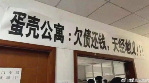 中国长租公寓平台“蛋壳公寓”因资金链断裂而“爆雷”。一名曾恶言要割掉“武汉日记”作者方方舌头的女子，也在寒冬中被房东驱赶出门。这位总宣扬“正能量”而从不关心弱势群体的女子上网发帖求助，结果只引来众网友一片嘲讽。 