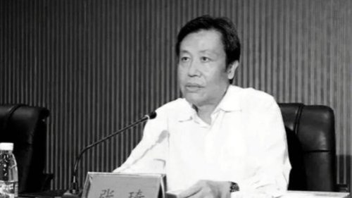前中共海南省委常委、海口市委书记张琦12月3日因受贿罪被判处无期徒刑，个人全部财产被没收。张琦被曝落马后，住宅内被查出金砖金条、现金13.5吨。