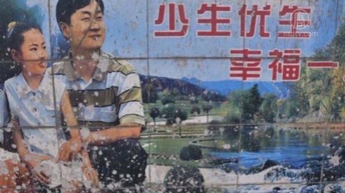 党媒喉舌引述专家建议，声称可输出农村剩男配给城市剩女，挨轰“你当是鸡鸭配种呢”。
