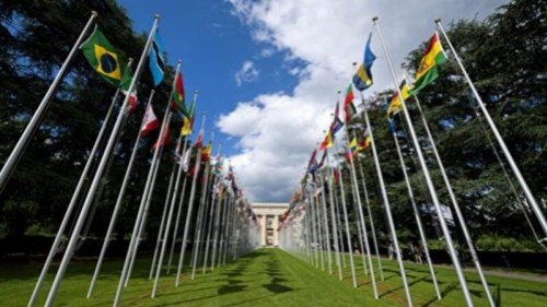 近半年内，美国、英国、法国国会相继出台新法案，以打击中共活摘良心犯器官的非法行径。 