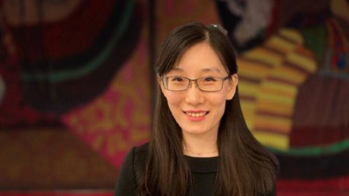 日前，世卫组织公布的中共病毒肺炎病毒溯源调查报告，几乎排除了病毒源自武汉实验室的可能性。中国病毒学家闫丽梦随后发表最新疫情报告揭穿世卫报告误导国际。