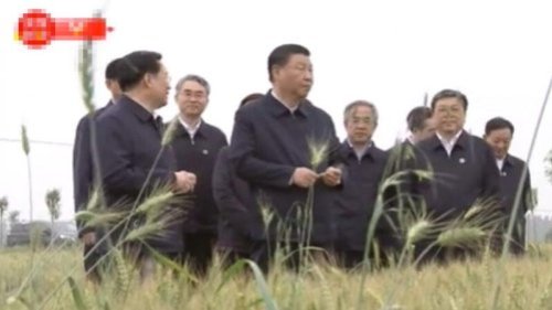 北京正考虑更换贸易代表，由副总理胡春华取代刘鹤。而习近平近日视察河南的照片，似乎泄露出同样的信号。 