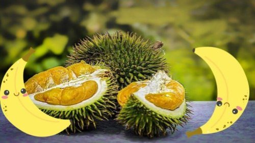 多年来，深圳房价居高不下，当局2月对房价进行调控后，参考价远低于实际成交价。有房产中介为了规避官方的规定，用一个榴莲1000万元，一根香蕉100万元的暗语，代替房价。引发热议。 
