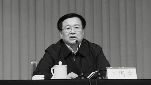 河南省委书记王国生于6月1日卸任。他在当天的中共河南省全省领导干部会议上对习近平大表忠诚，用“领袖”称呼习，引发外界议论。
