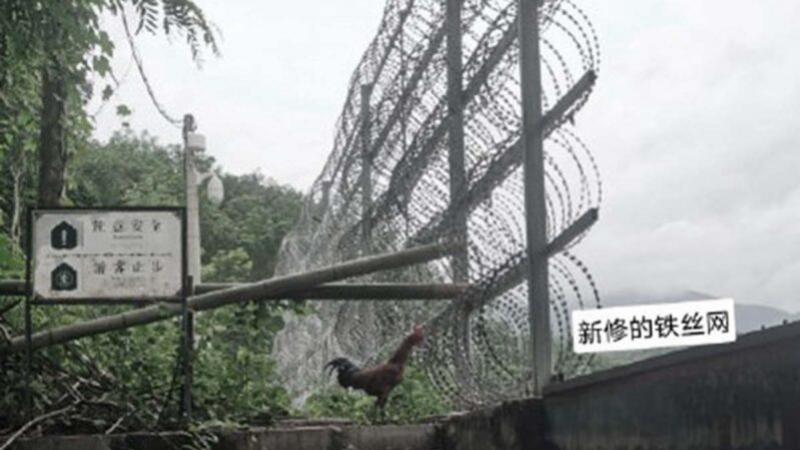去年底，中共已完成长约600公里的中缅边境墙一期工程。日前网传消息指，又有500公里的围墙建成。当地人士称，中共建墙是为防止民众外逃和“境外势力渗透”。网民痛批，中共已将中国变成“露天大监狱”。