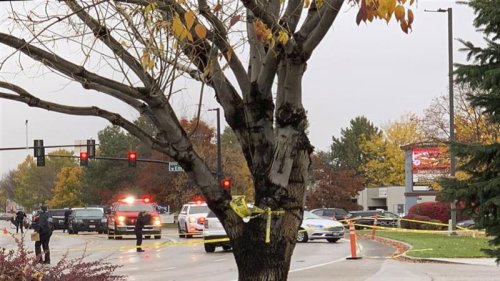 美国购物中心爆枪击案，至少造成2死4伤。