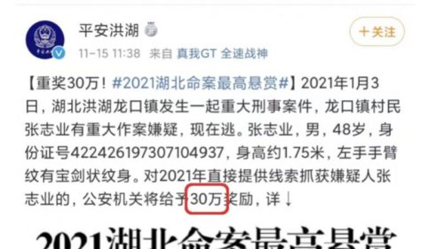 继武汉蔡甸区罗汉村灭门惨案后，湖北近日又发布通报，今年洪湖市龙口镇也曾发生一起杀死村支书逃亡的命案。