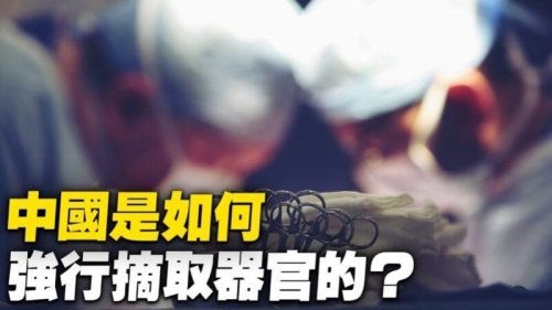 “终止中国滥用器官移植国际联盟”（ETAC）近日发布最新视频，揭露中共是如何强摘法轮功学员和维吾尔人等良心犯的器官，并呼吁各国应制定法律，打击国际“移植旅游”，以制止中共的杀人行径。以下是视频解说词。