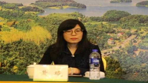 中国建设银行机构业务部原总经理黄曦涉嫌“严重违纪违法”被调查，她是今年4月以来第四名落马的建行系统高管。