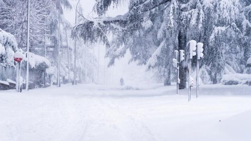寒冷天气是可以操纵的：北极极寒设计旨在对农场、道路和基础设施造成最大程度的破坏，并中断社会运转