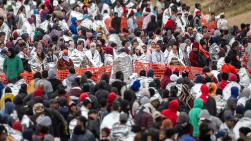 众议院民主党人“动用强力手段”允许非法移民参加 2024 年总统选举投票