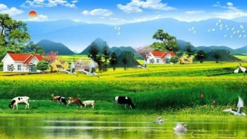 为什么一些富人喜欢住在乡村